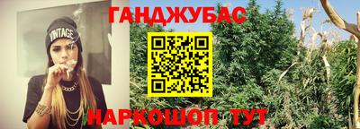 шишки Бийск