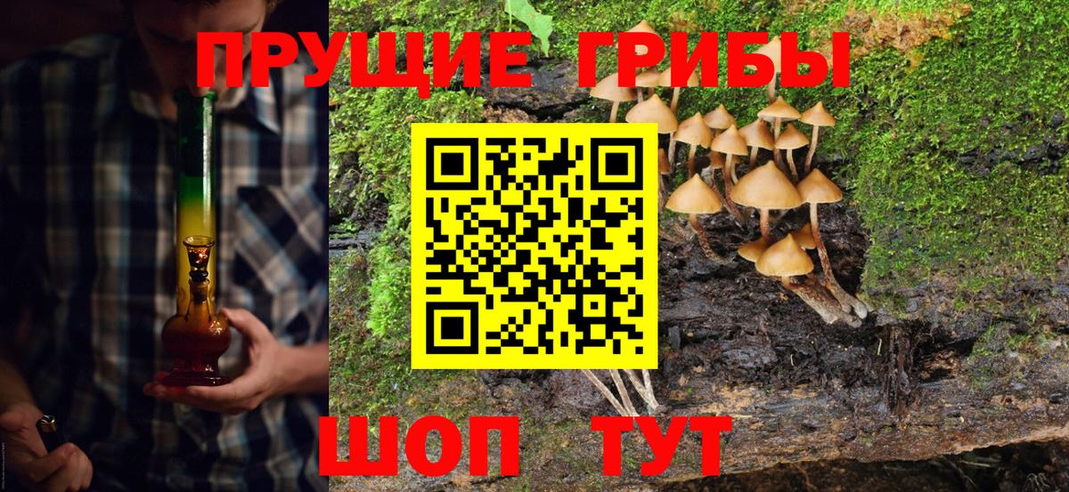 Кимры  Псилоцибиновые грибы Cubensis  Вход с VPN 