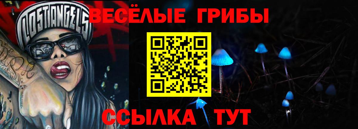 Галлюциногенные грибы прущие грибы Кимры
